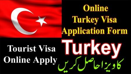 How to Fill Turkey Visa Application Online