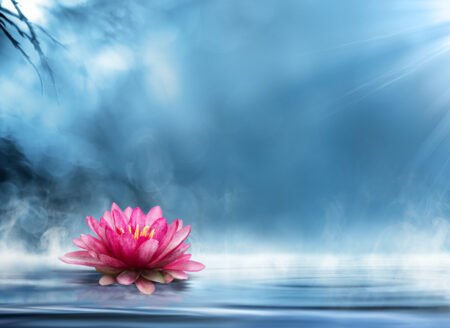 Emotional Healing Hypnosis: A Pathway to Renewed Hope and Happiness