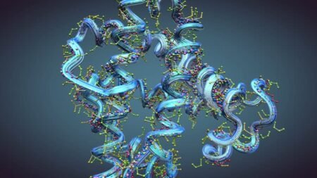 Protein-High Purity Protein: Ensuring Quality and Efficiency in Biochemical Research