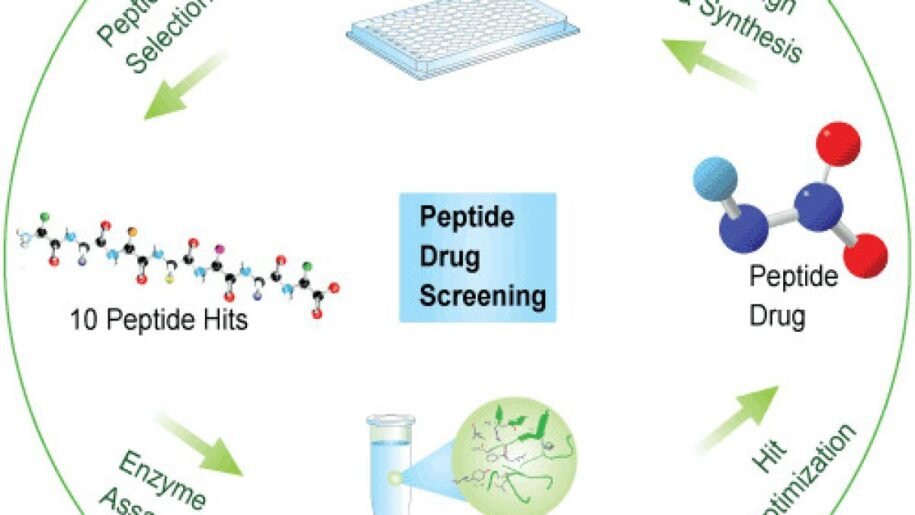 Peptide Library Screening Company: Advancing Drug Discovery with Precision